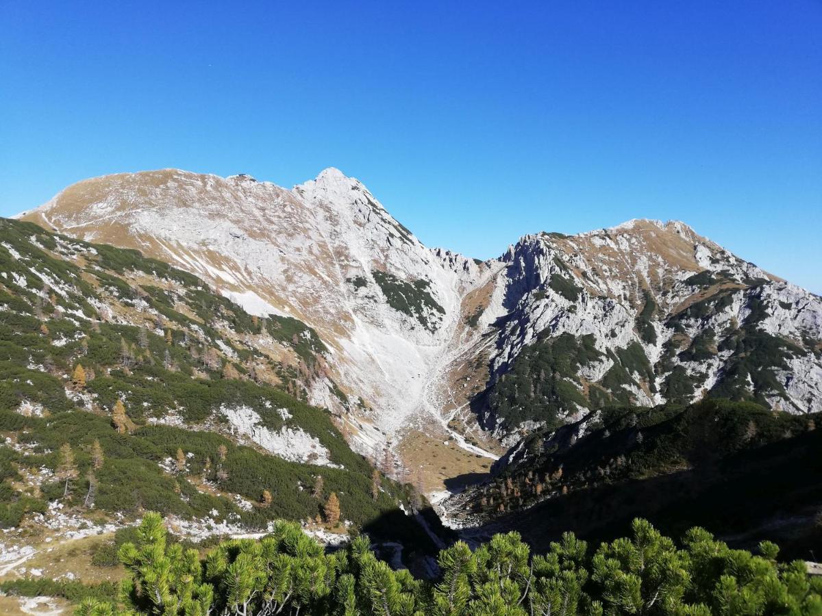 Brunarica Na Goreljeku Bohinj Exteriör bild