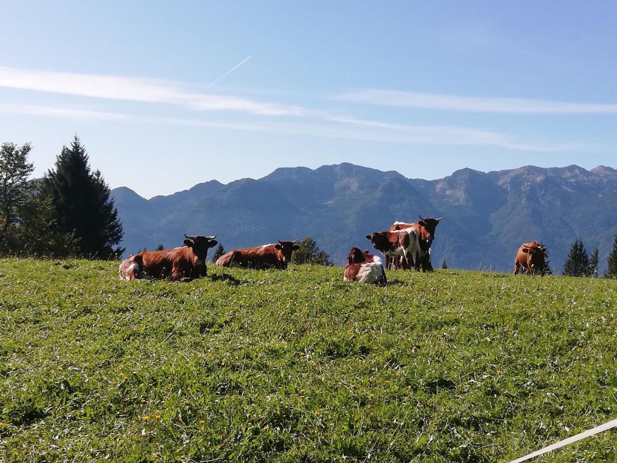 Brunarica Na Goreljeku Bohinj Exteriör bild