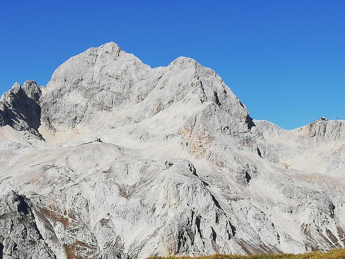Brunarica Na Goreljeku Bohinj Exteriör bild