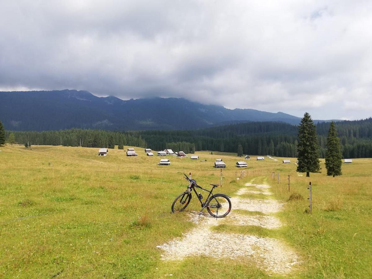 Brunarica Na Goreljeku Bohinj Exteriör bild