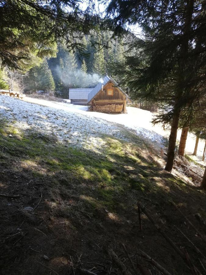 Brunarica Na Goreljeku Bohinj Exteriör bild
