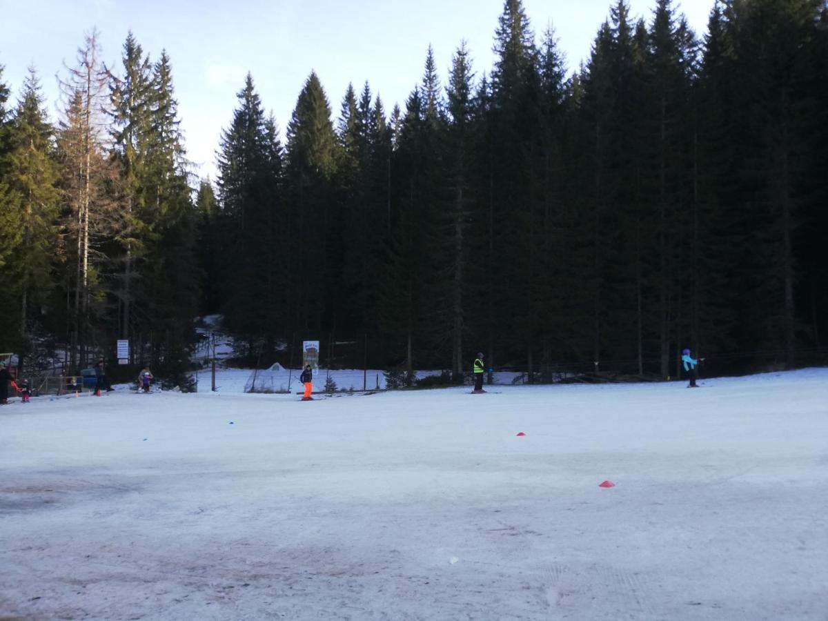 Brunarica Na Goreljeku Bohinj Exteriör bild