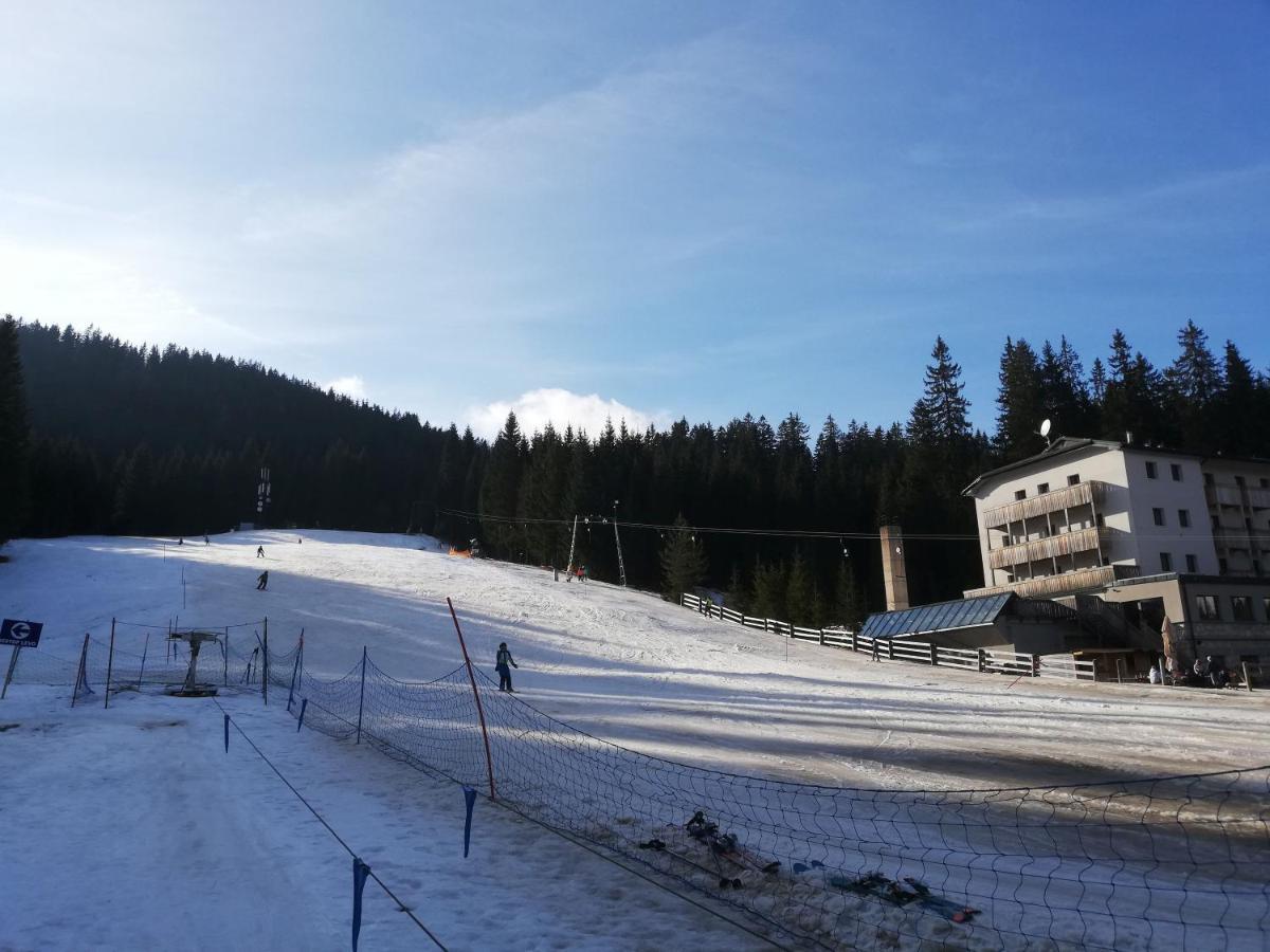 Brunarica Na Goreljeku Bohinj Exteriör bild