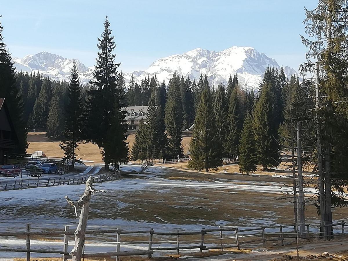 Brunarica Na Goreljeku Bohinj Exteriör bild