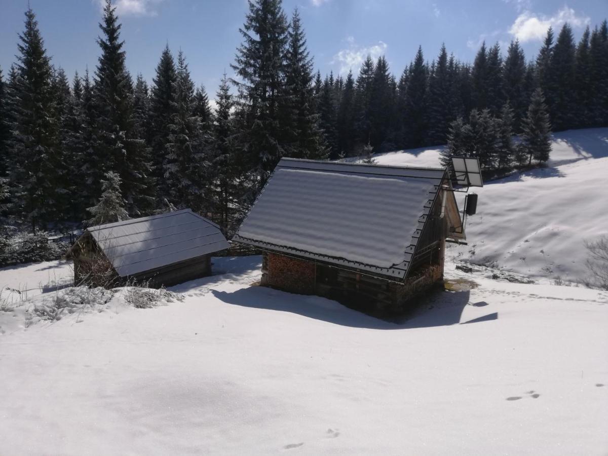 Brunarica Na Goreljeku Bohinj Exteriör bild