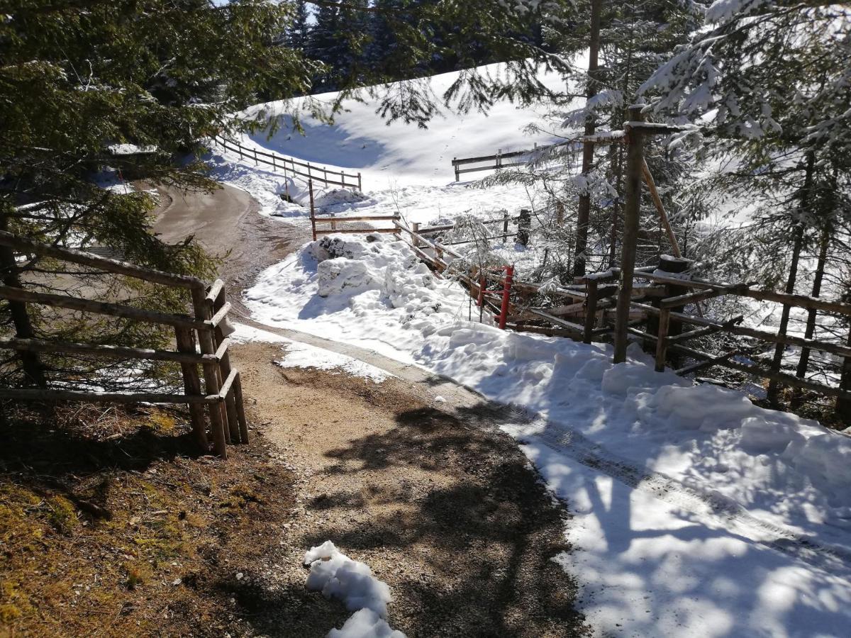 Brunarica Na Goreljeku Bohinj Exteriör bild