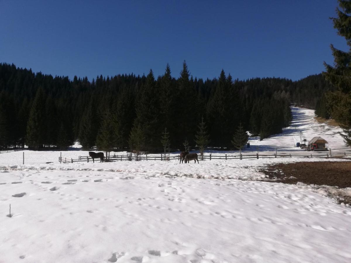 Brunarica Na Goreljeku Bohinj Exteriör bild