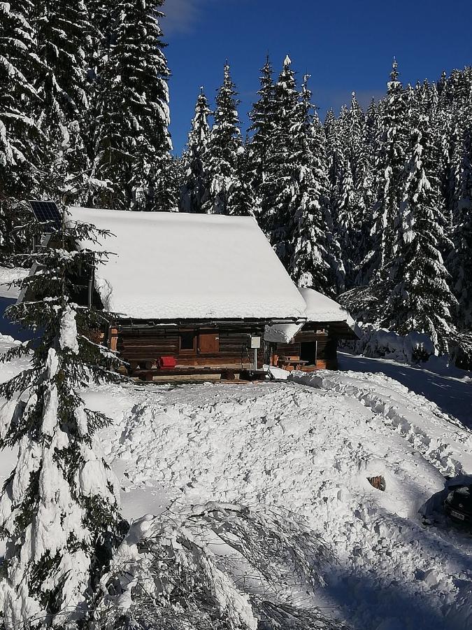 Brunarica Na Goreljeku Bohinj Exteriör bild