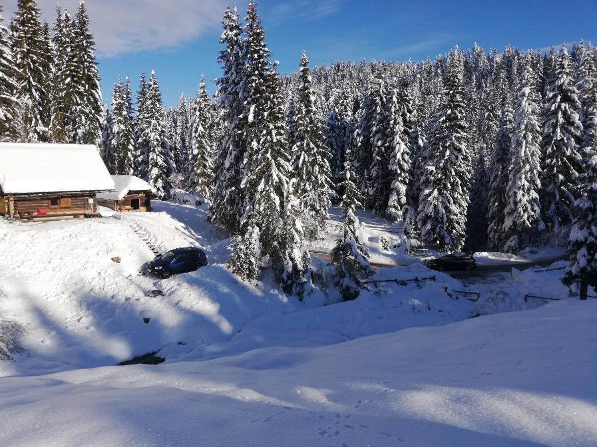 Brunarica Na Goreljeku Bohinj Exteriör bild