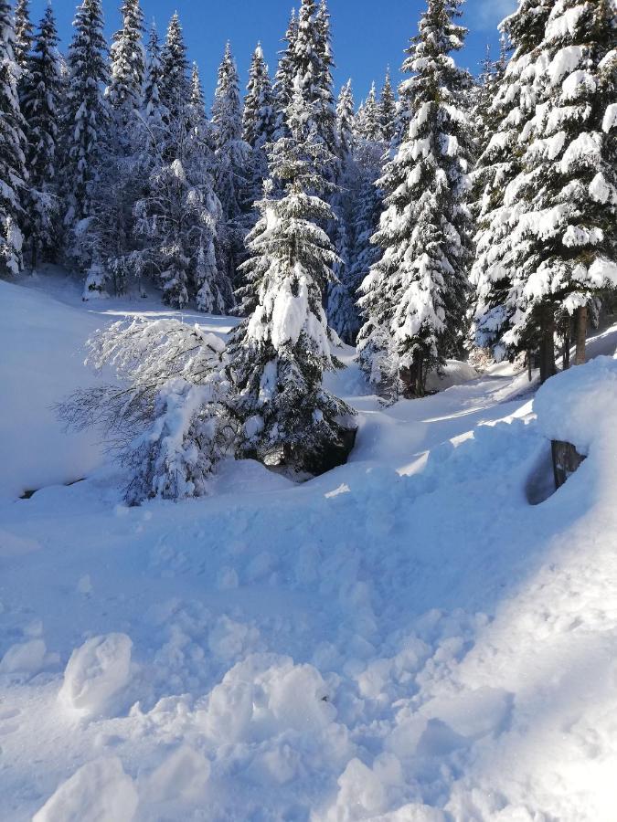 Brunarica Na Goreljeku Bohinj Exteriör bild