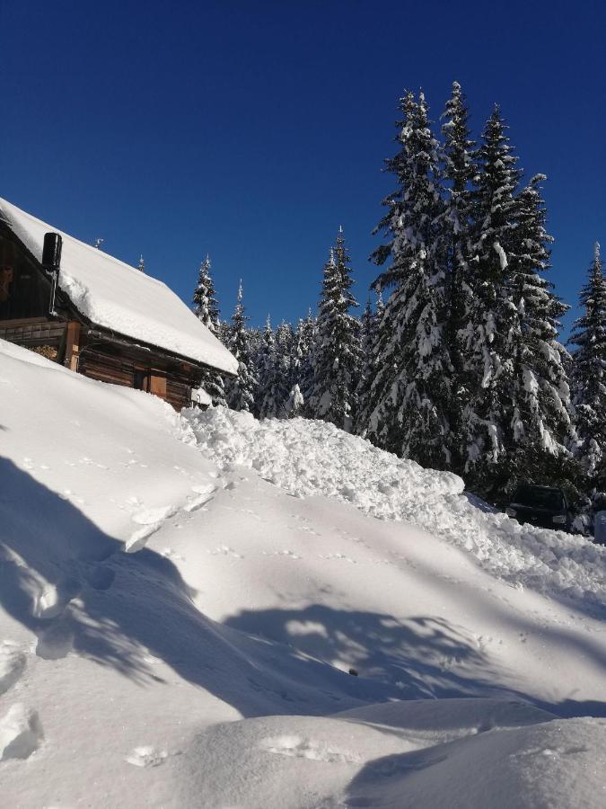 Brunarica Na Goreljeku Bohinj Exteriör bild