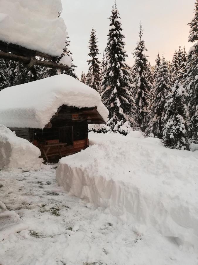 Brunarica Na Goreljeku Bohinj Exteriör bild