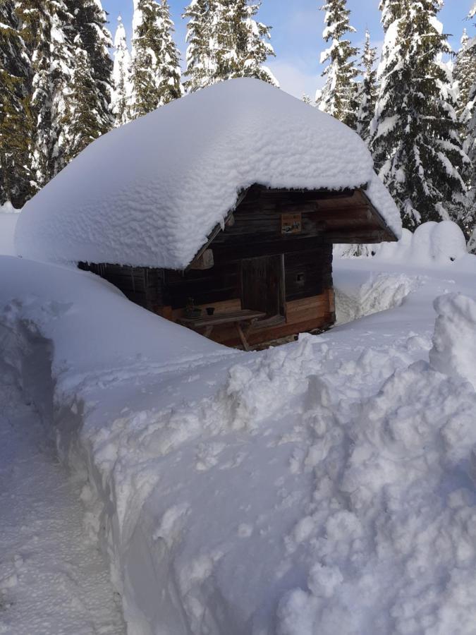 Brunarica Na Goreljeku Bohinj Exteriör bild