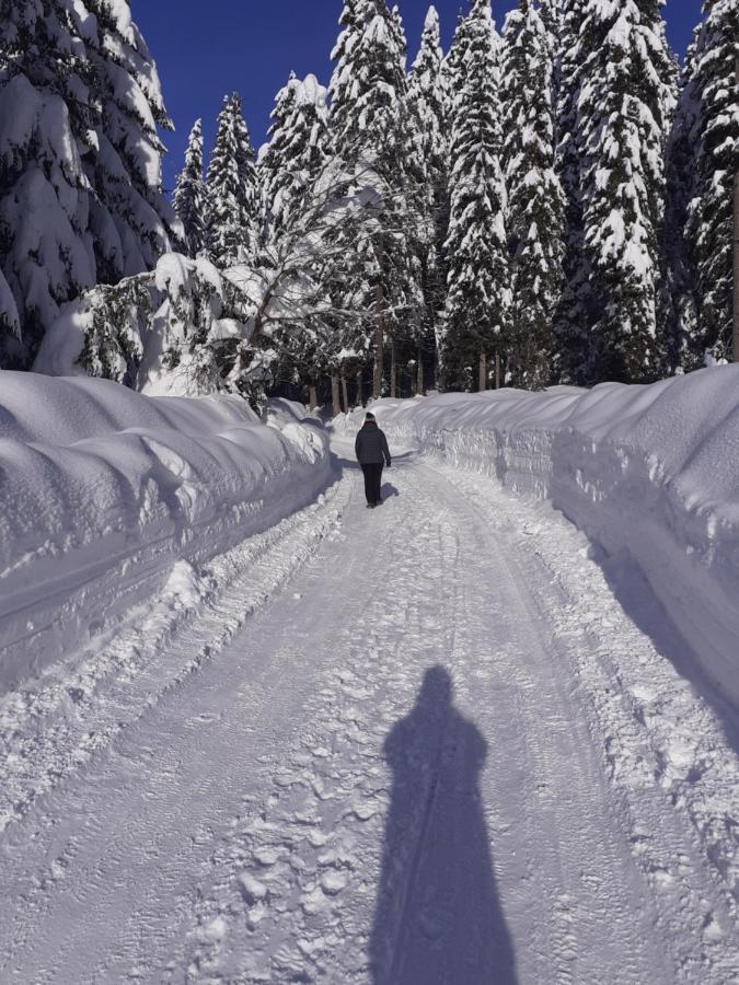 Brunarica Na Goreljeku Bohinj Exteriör bild