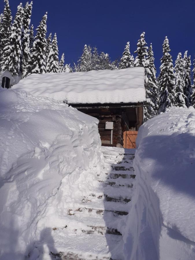 Brunarica Na Goreljeku Bohinj Exteriör bild