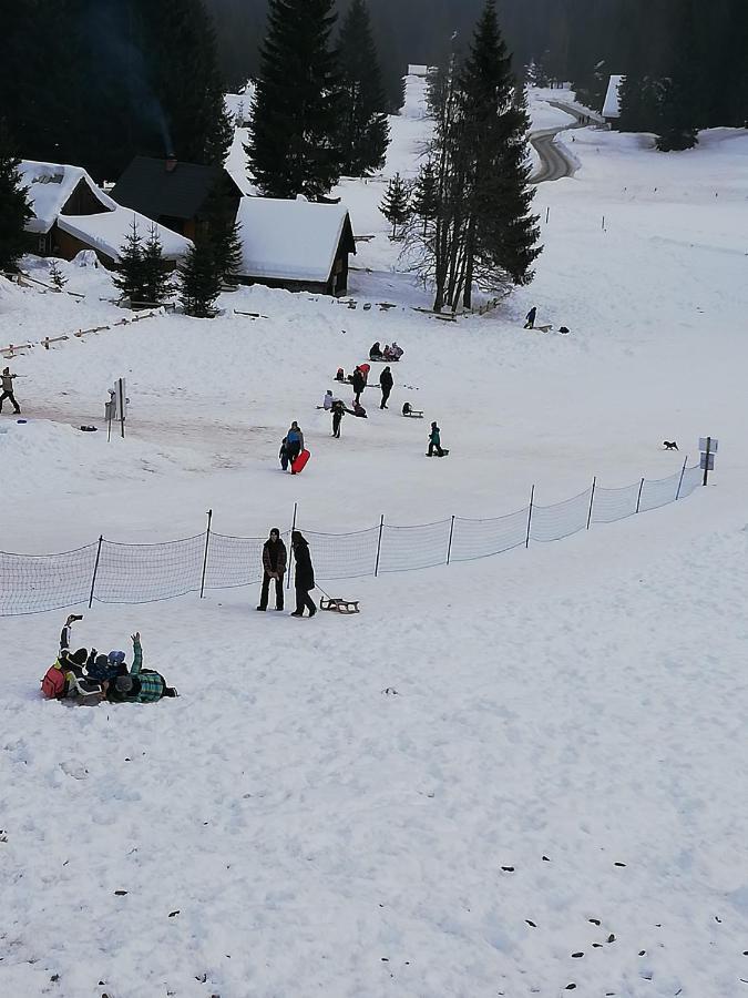 Brunarica Na Goreljeku Bohinj Exteriör bild