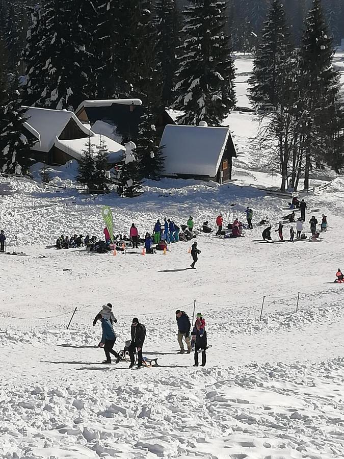 Brunarica Na Goreljeku Bohinj Exteriör bild