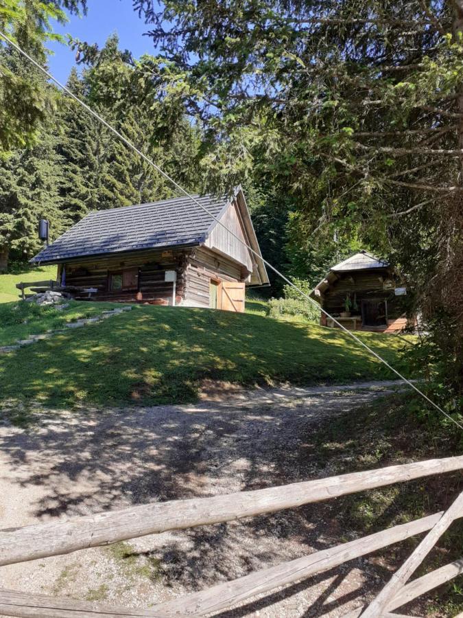Brunarica Na Goreljeku Bohinj Exteriör bild