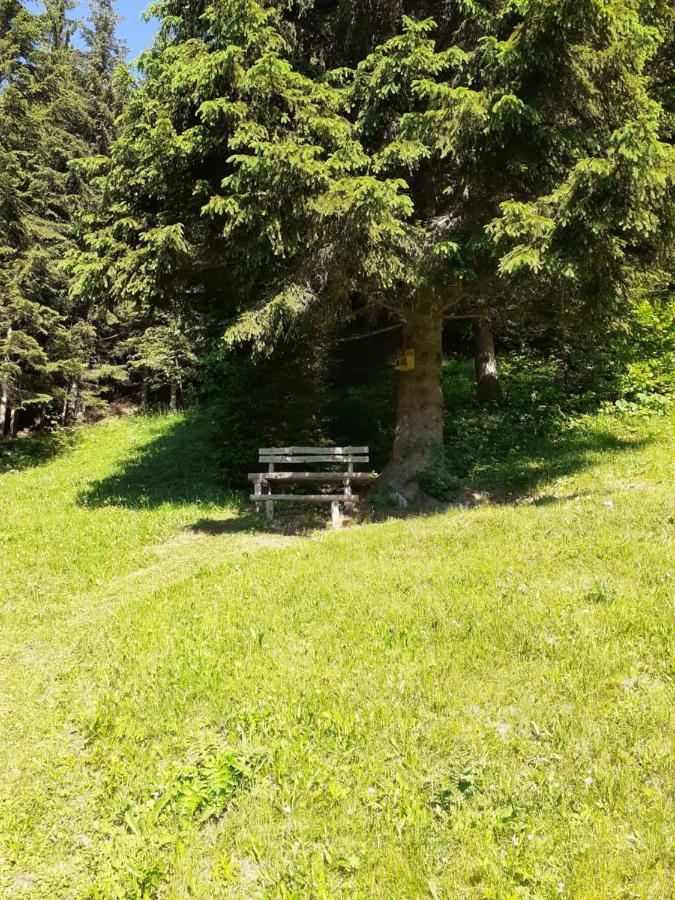 Brunarica Na Goreljeku Bohinj Exteriör bild