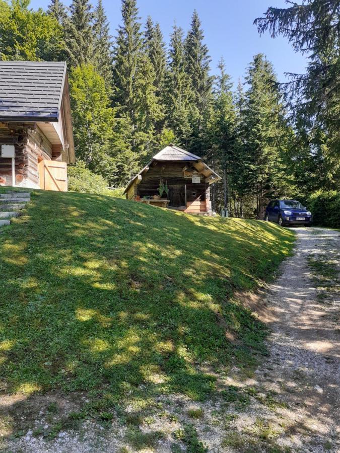 Brunarica Na Goreljeku Bohinj Exteriör bild