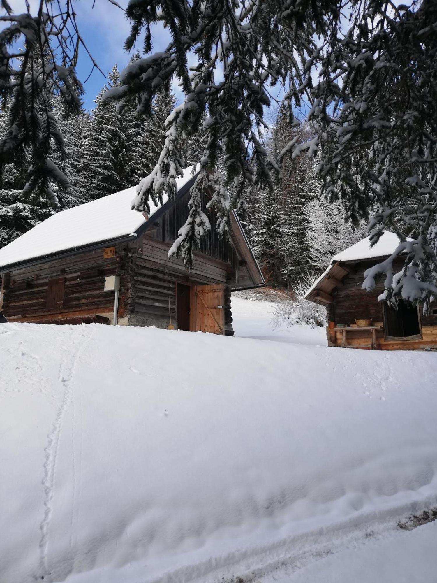 Brunarica Na Goreljeku Bohinj Exteriör bild