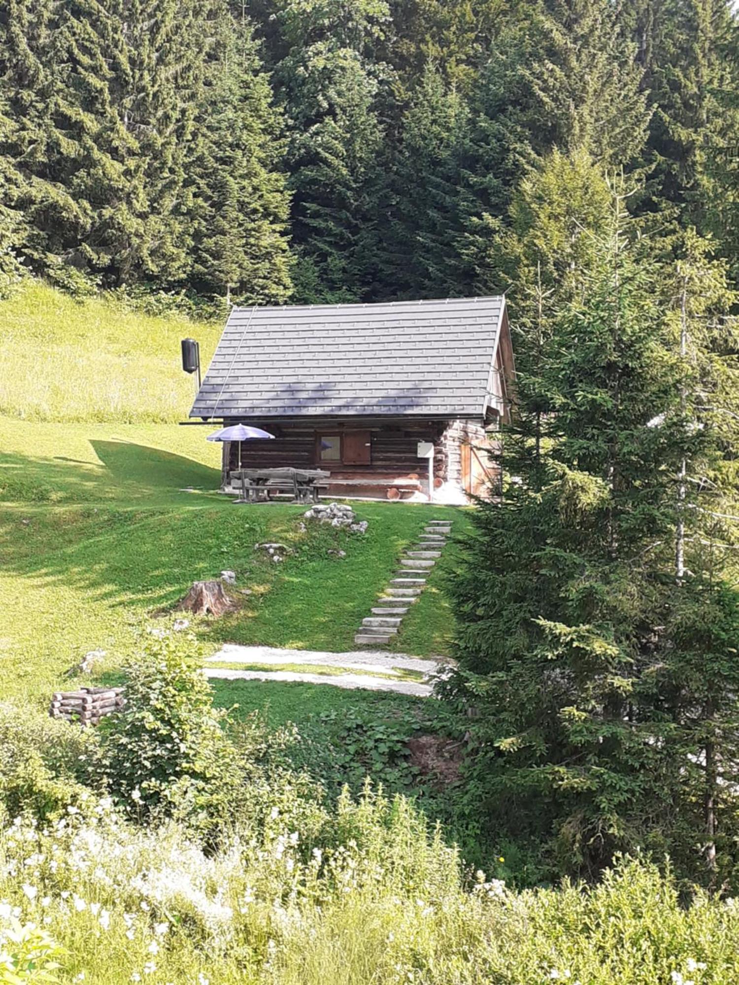 Brunarica Na Goreljeku Bohinj Exteriör bild