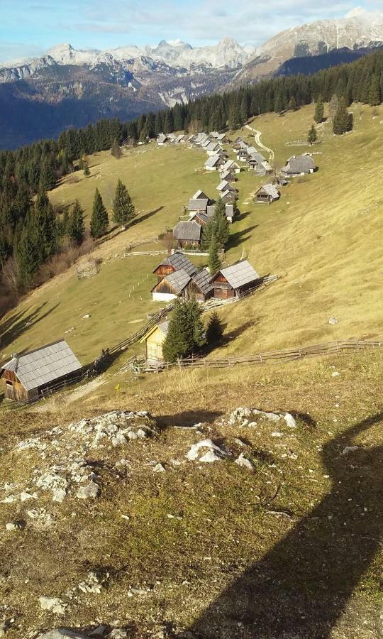 Brunarica Na Goreljeku Bohinj Exteriör bild