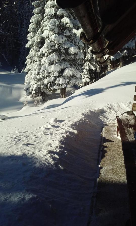 Brunarica Na Goreljeku Bohinj Exteriör bild